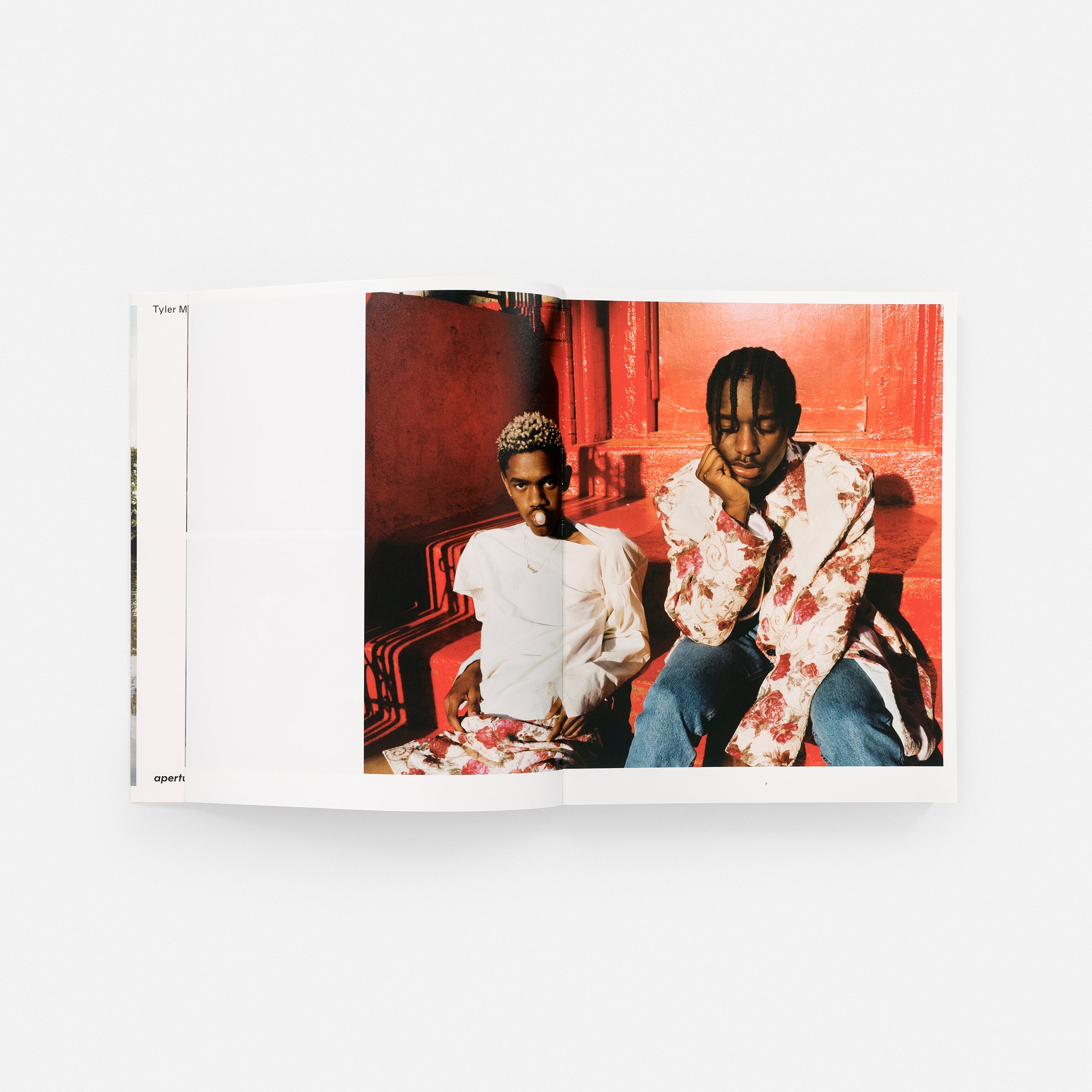 Tyler Mitchell: Wish This Was Real (signed edition)