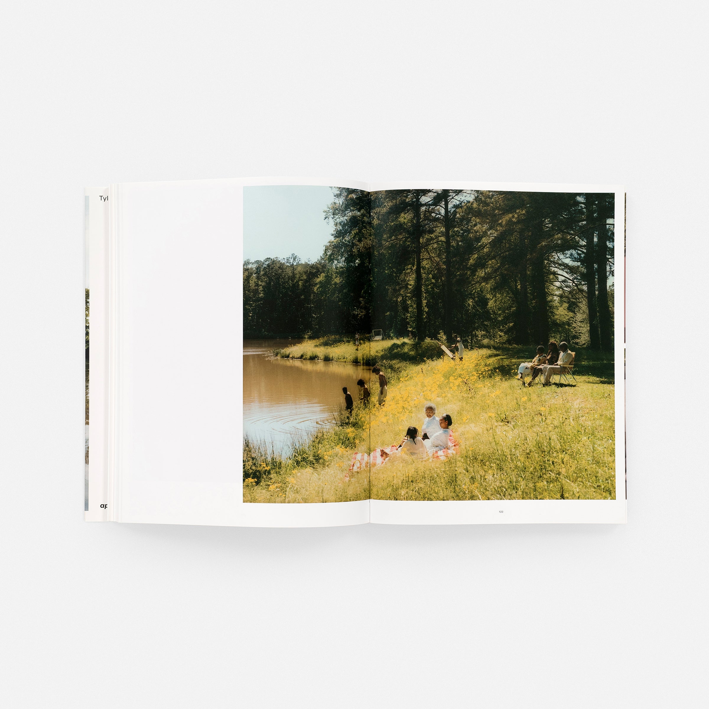 Tyler Mitchell: Wish This Was Real (signed edition)