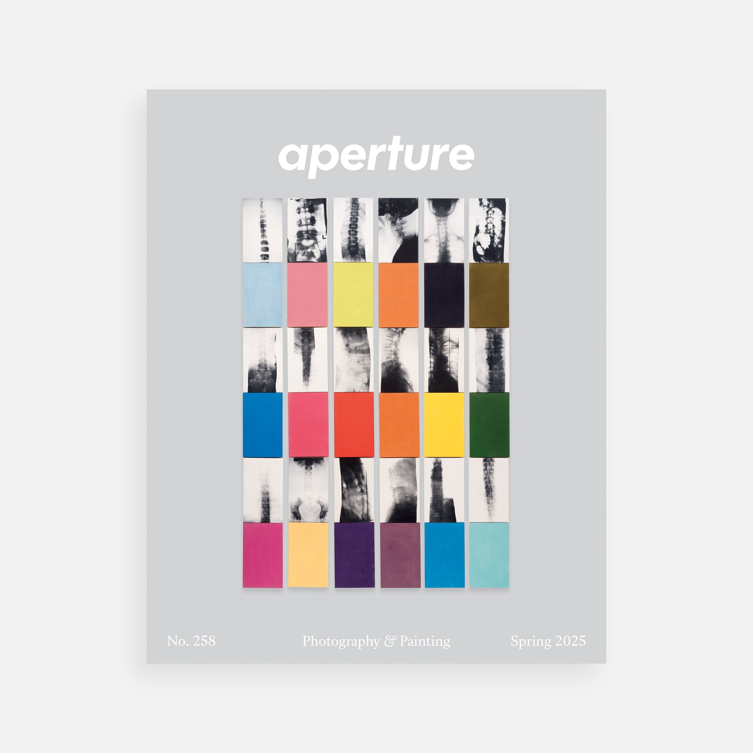 Photography & Painting: Aperture No. 258, Spring 2025