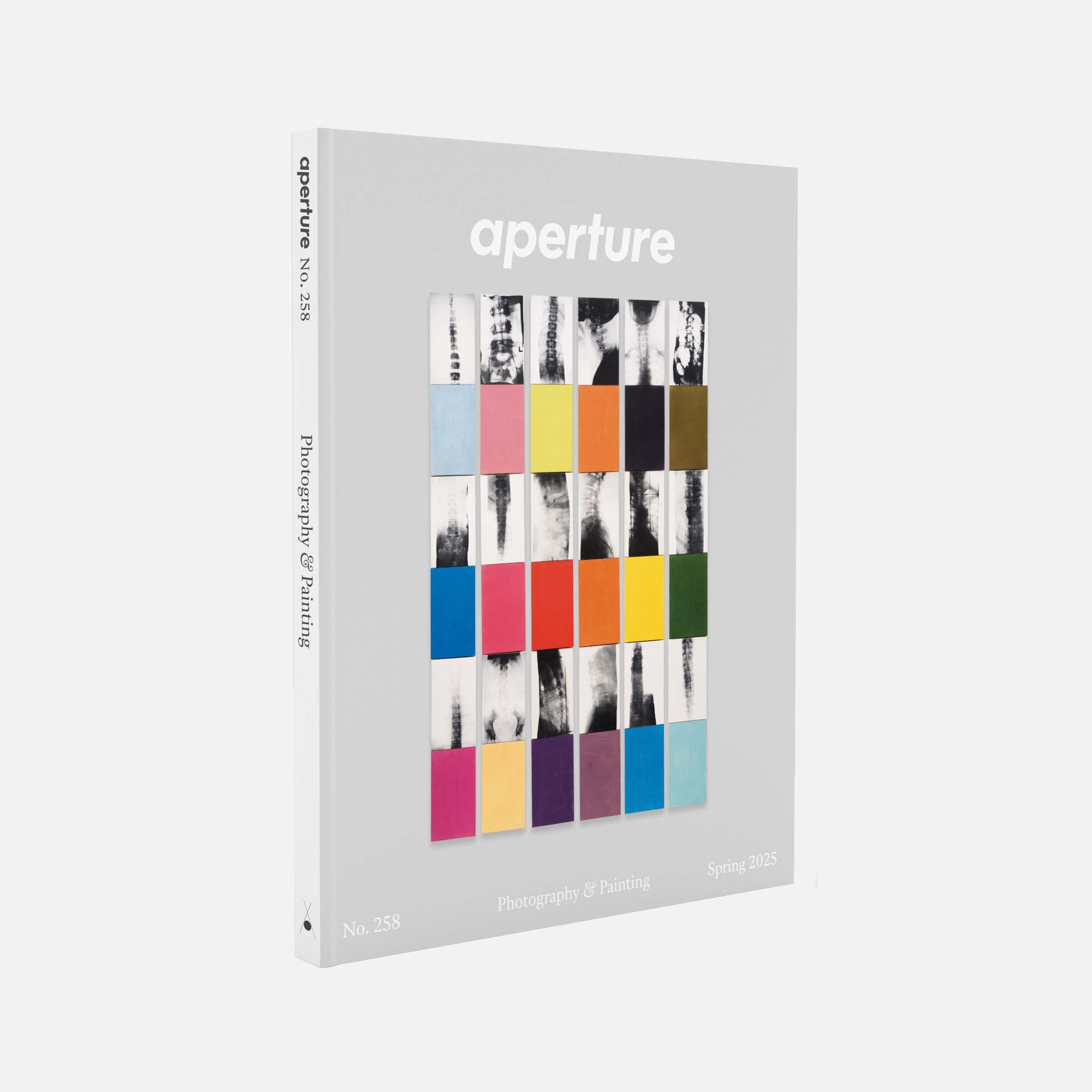 Photography & Painting: Aperture No. 258, Spring 2025