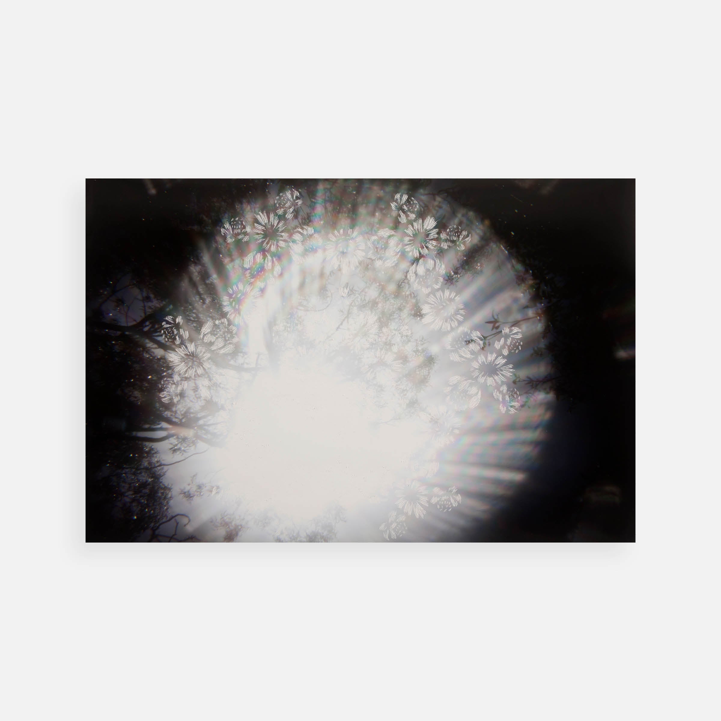 Christopher Russell: Explosion (Aperture Edition), 2014