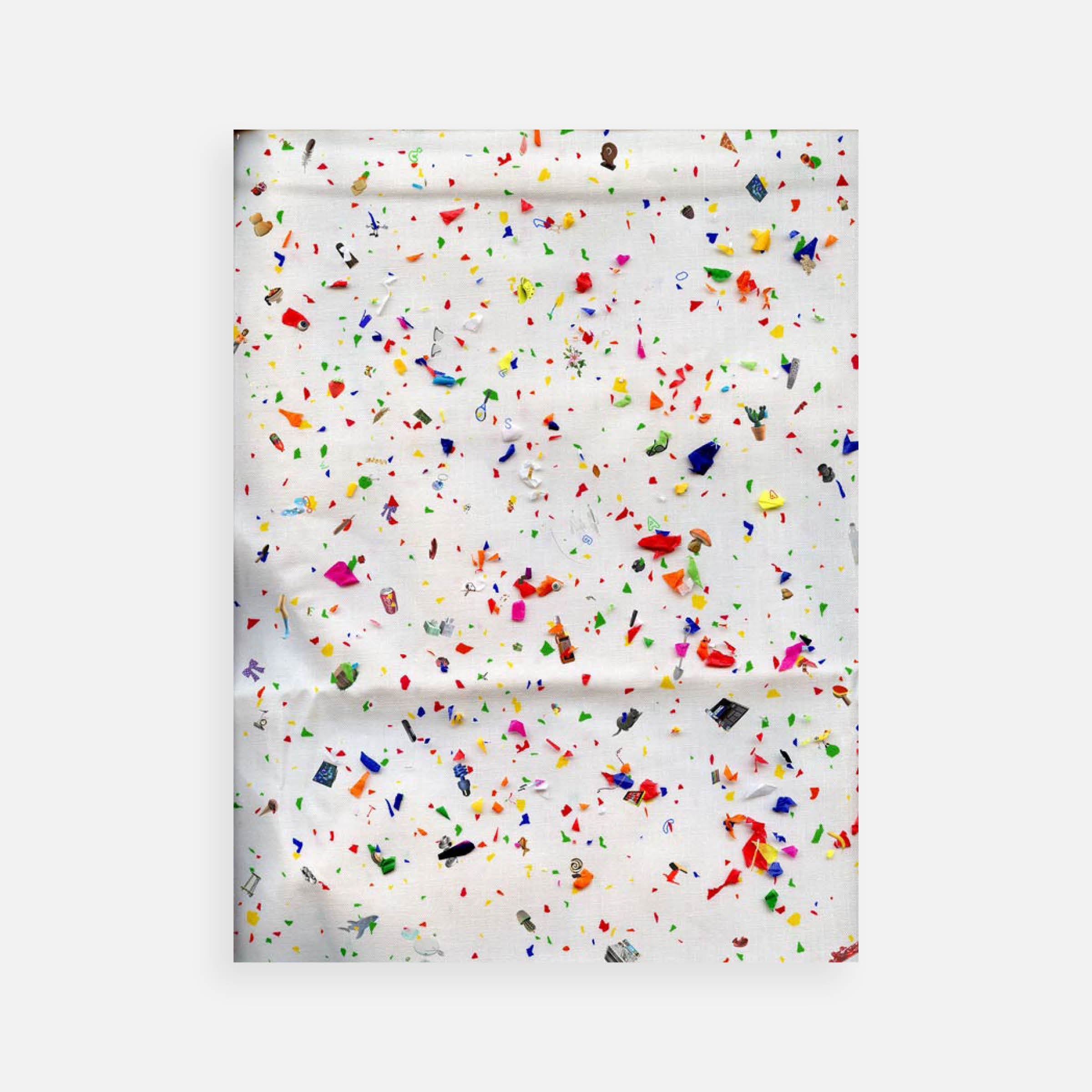 Asha Schechter: Photography Is Magic Commission: Picture 088 (Pomegranate, Bird Feathers Collection, Toast, Strawberry 2.0...)