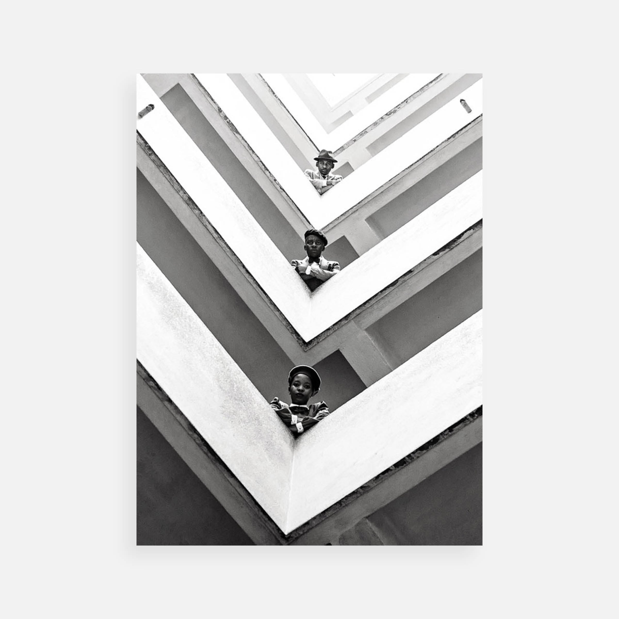 Harness Hamese: The V, Formation, 2014