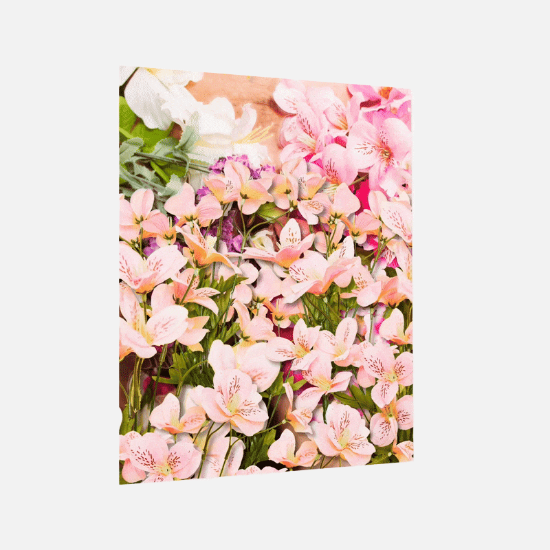 Pao Houa Her: Flower penis, 2017