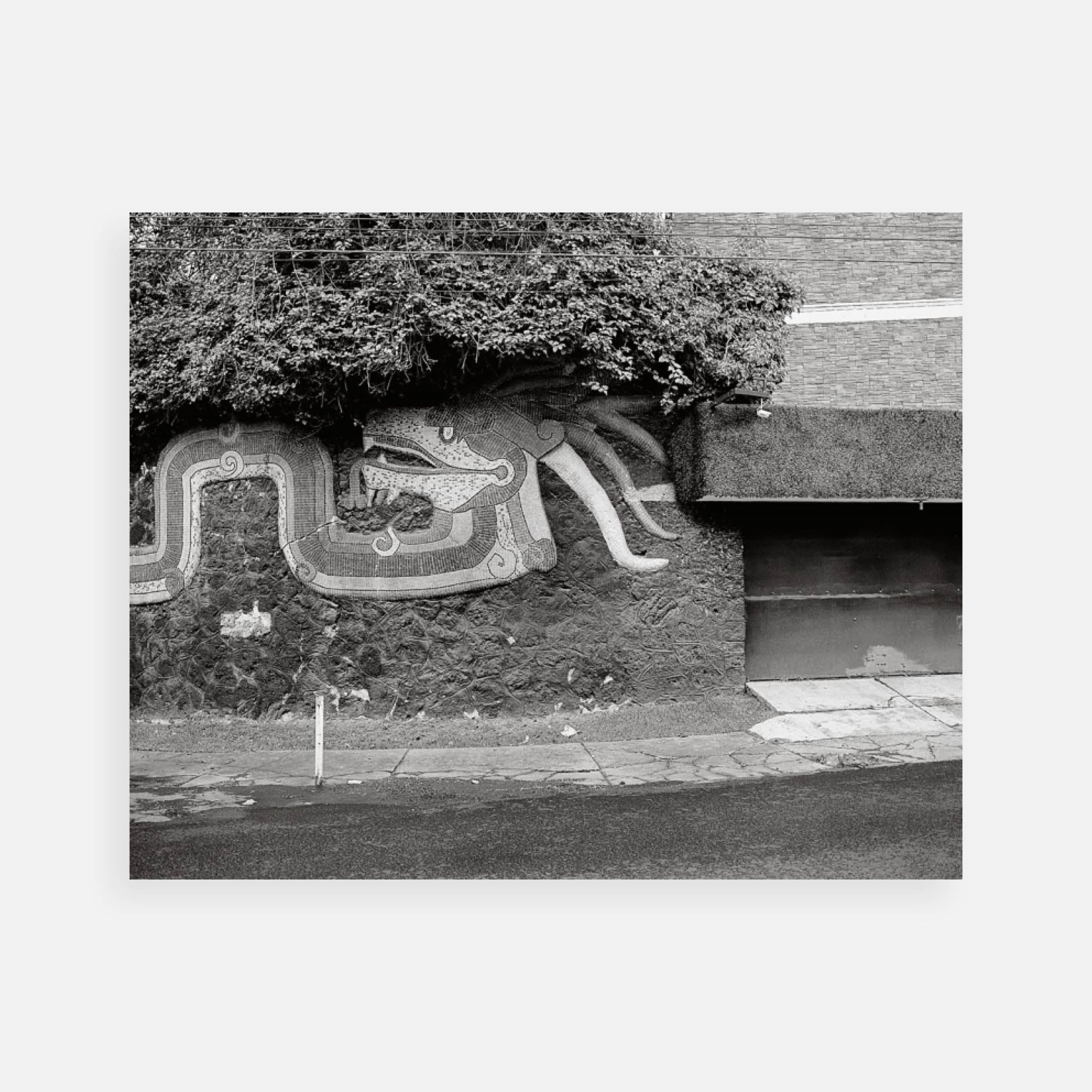 Pablo López Luz: Jardines del Pedregal XXVI, Ciudad de México, 2018