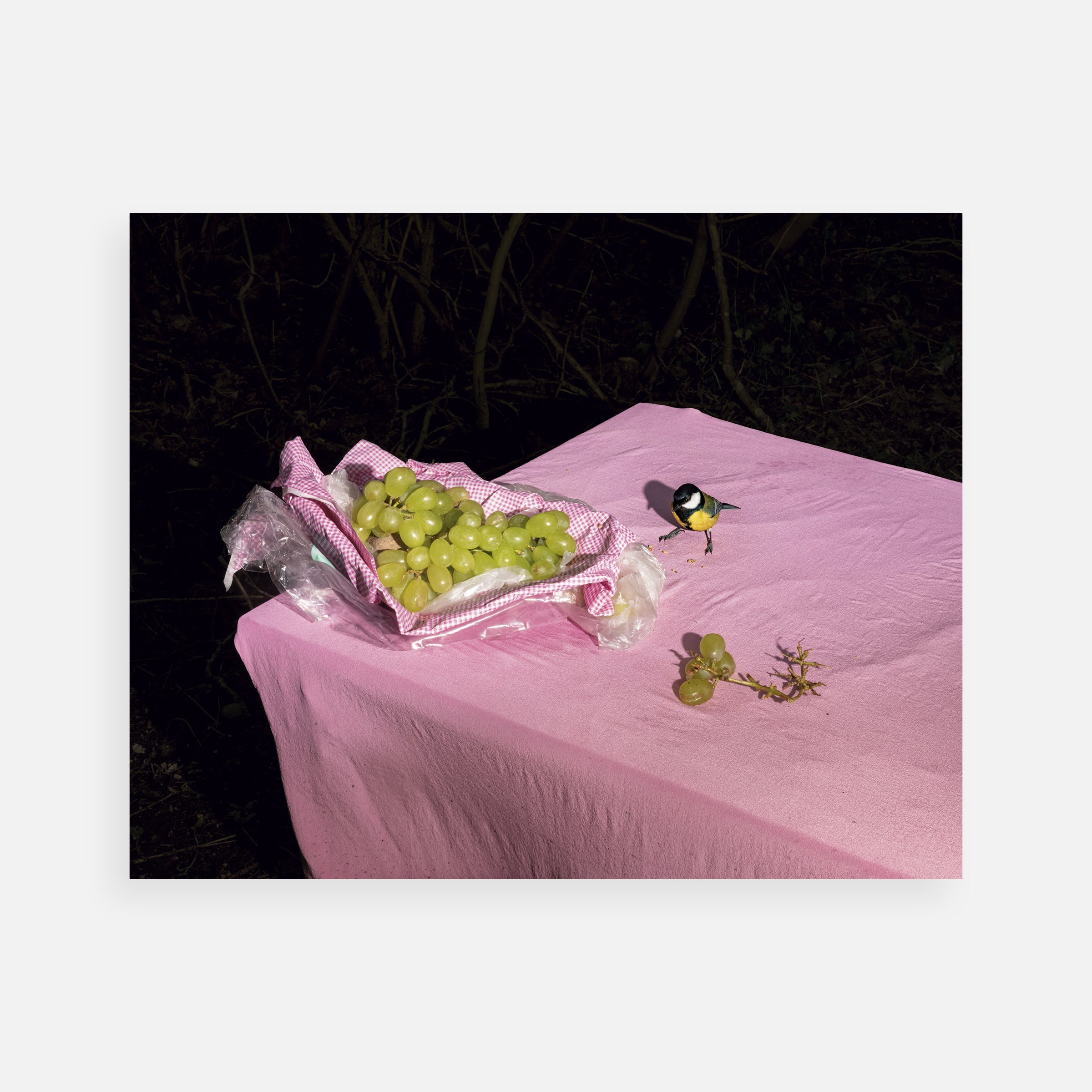 Lia Darjes: Plate VI, 2022; from the series Plates I–XXXI