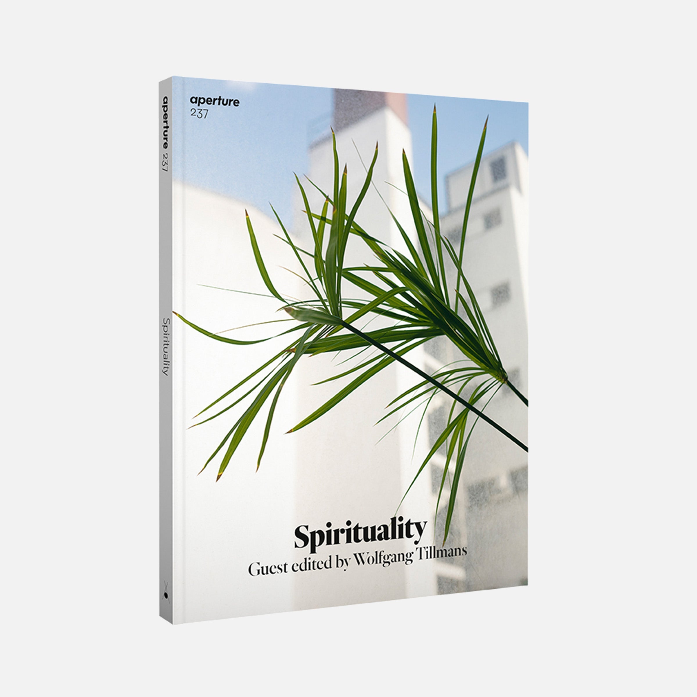 Spirituality: Aperture 237, Winter 2019