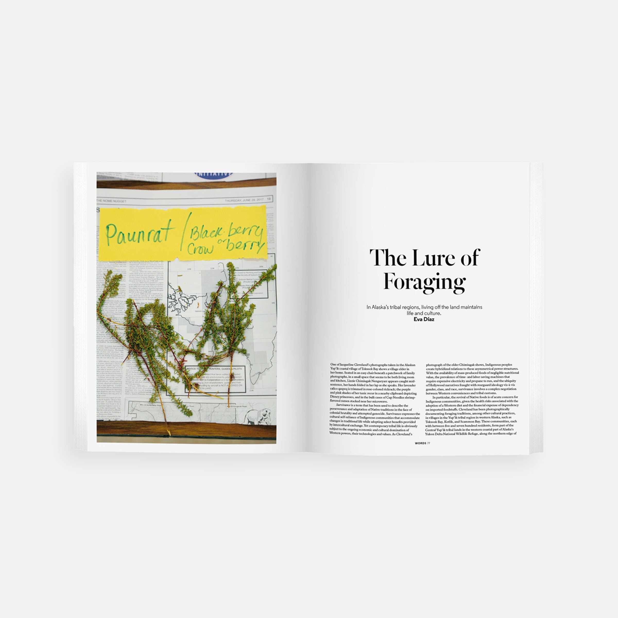 Native America: Aperture 240, Fall 2020