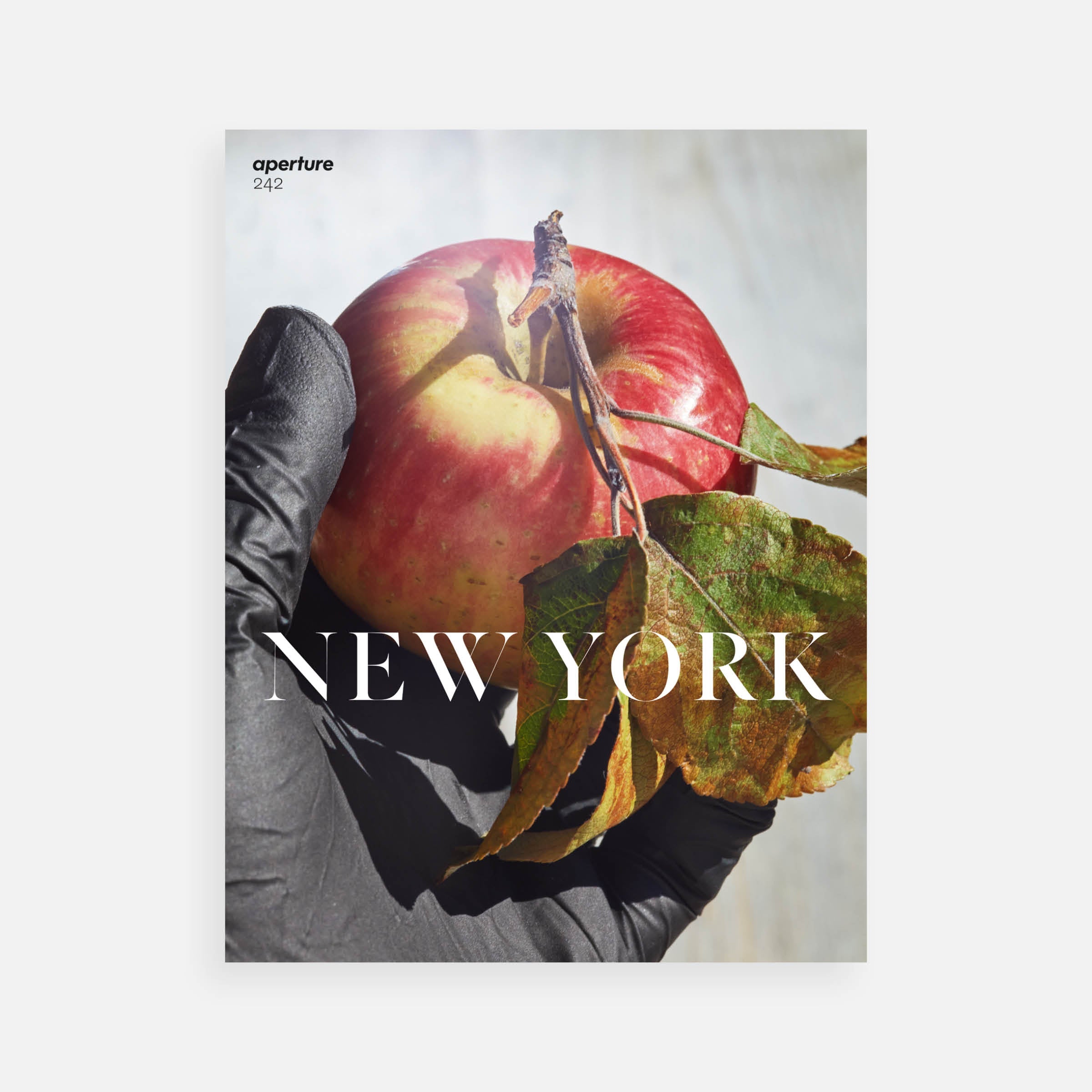 New York: Aperture 242, Spring 2021