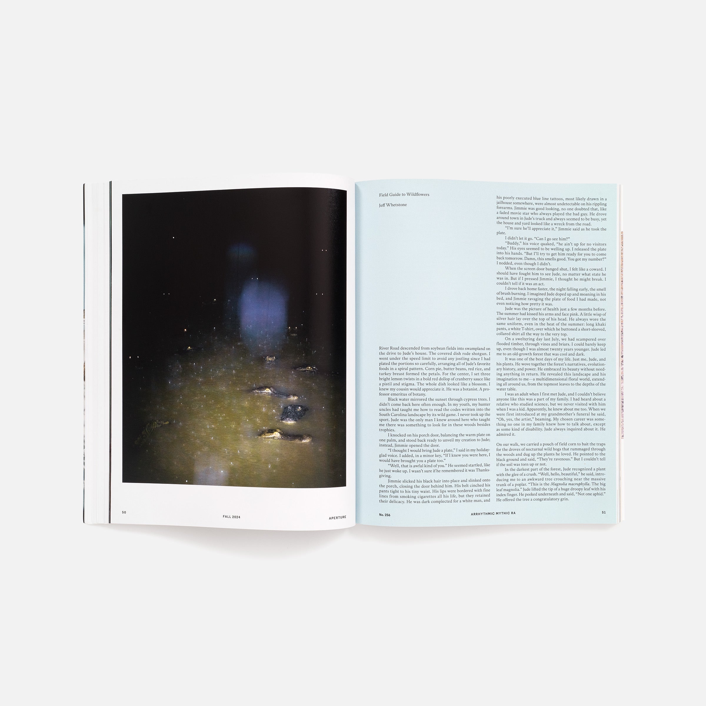 Arrhythmic Mythic Ra: Aperture No. 256, Fall 2024