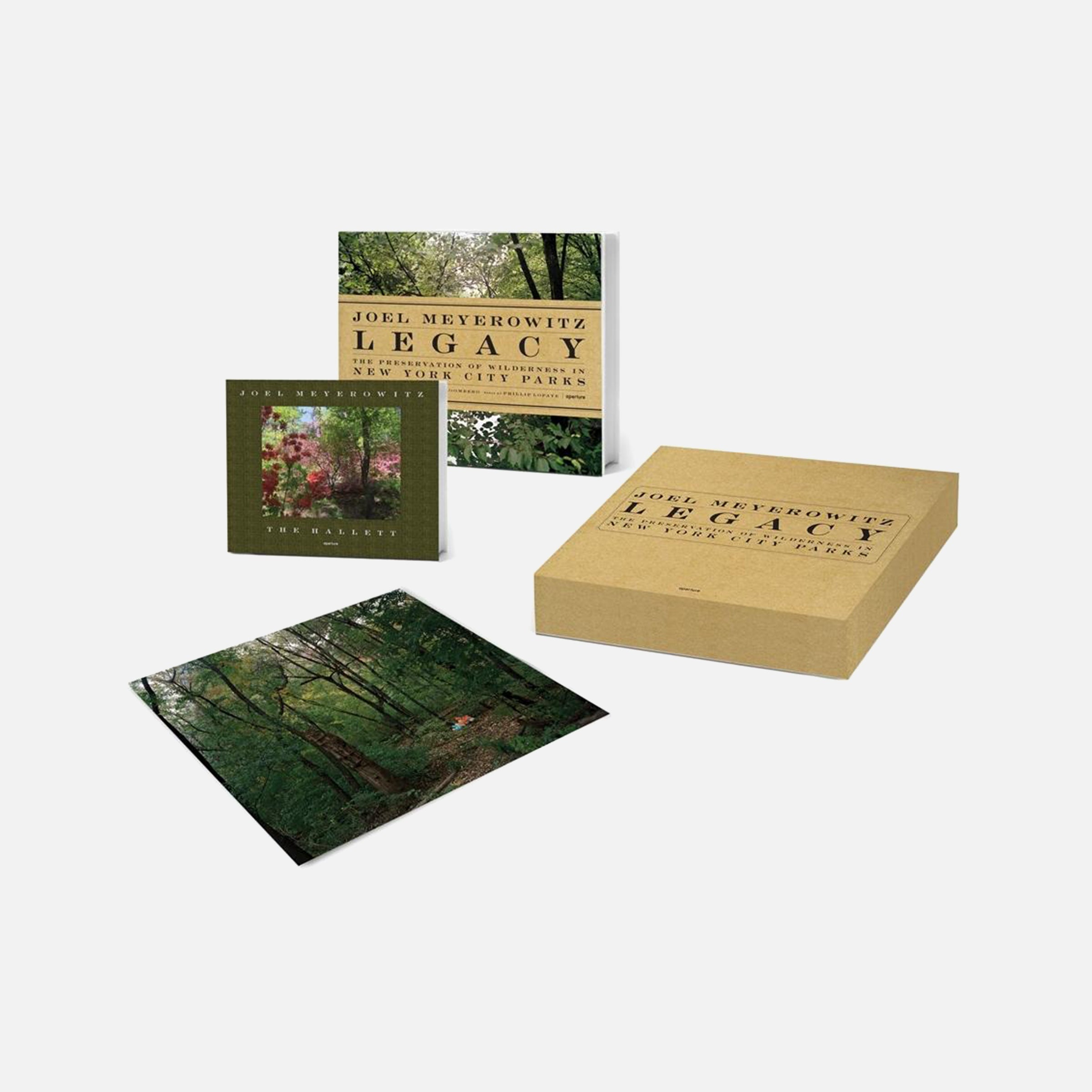 Joel Meyerowitz: Legacy Box Set
