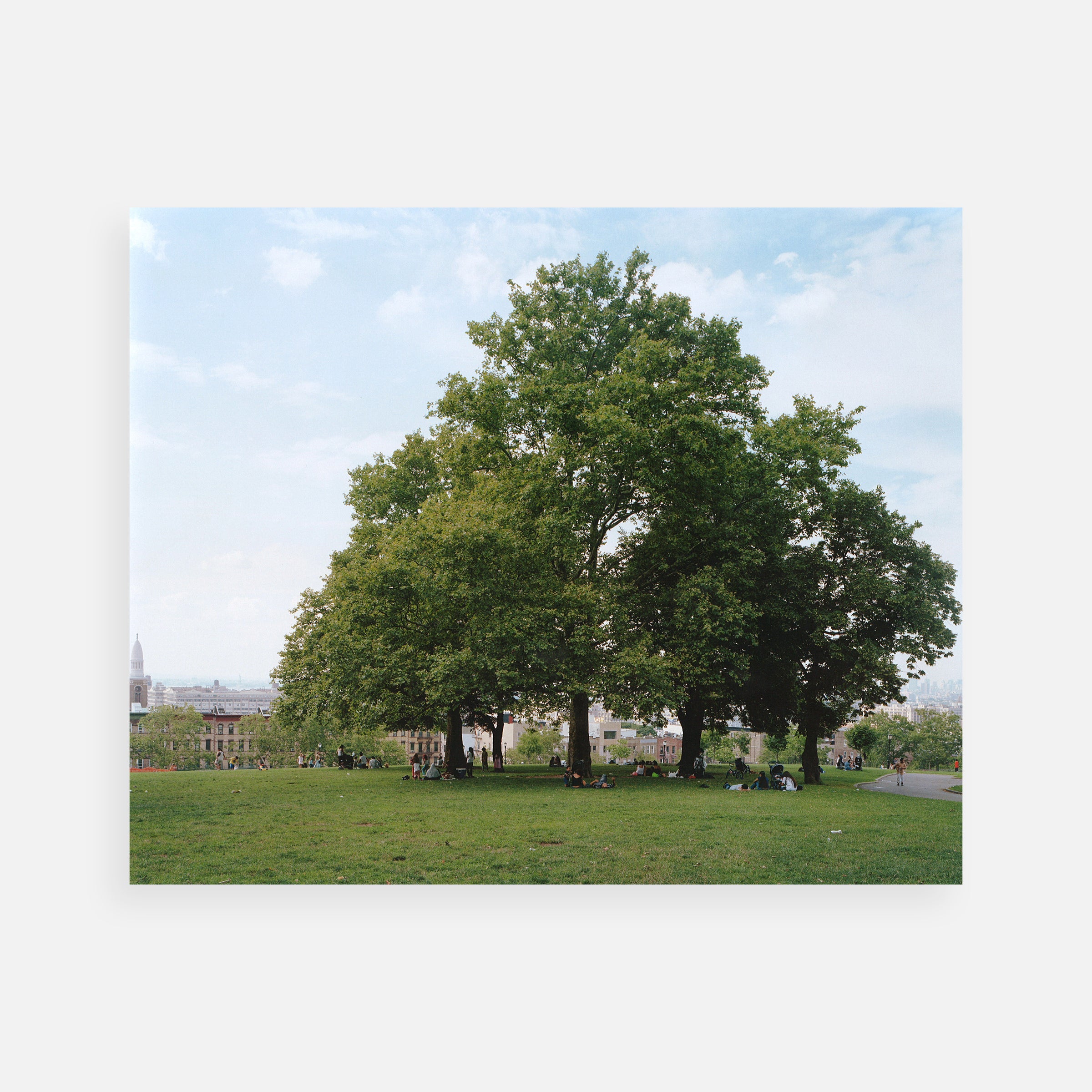 Joel Meyerowitz: The Legacy Portfolio