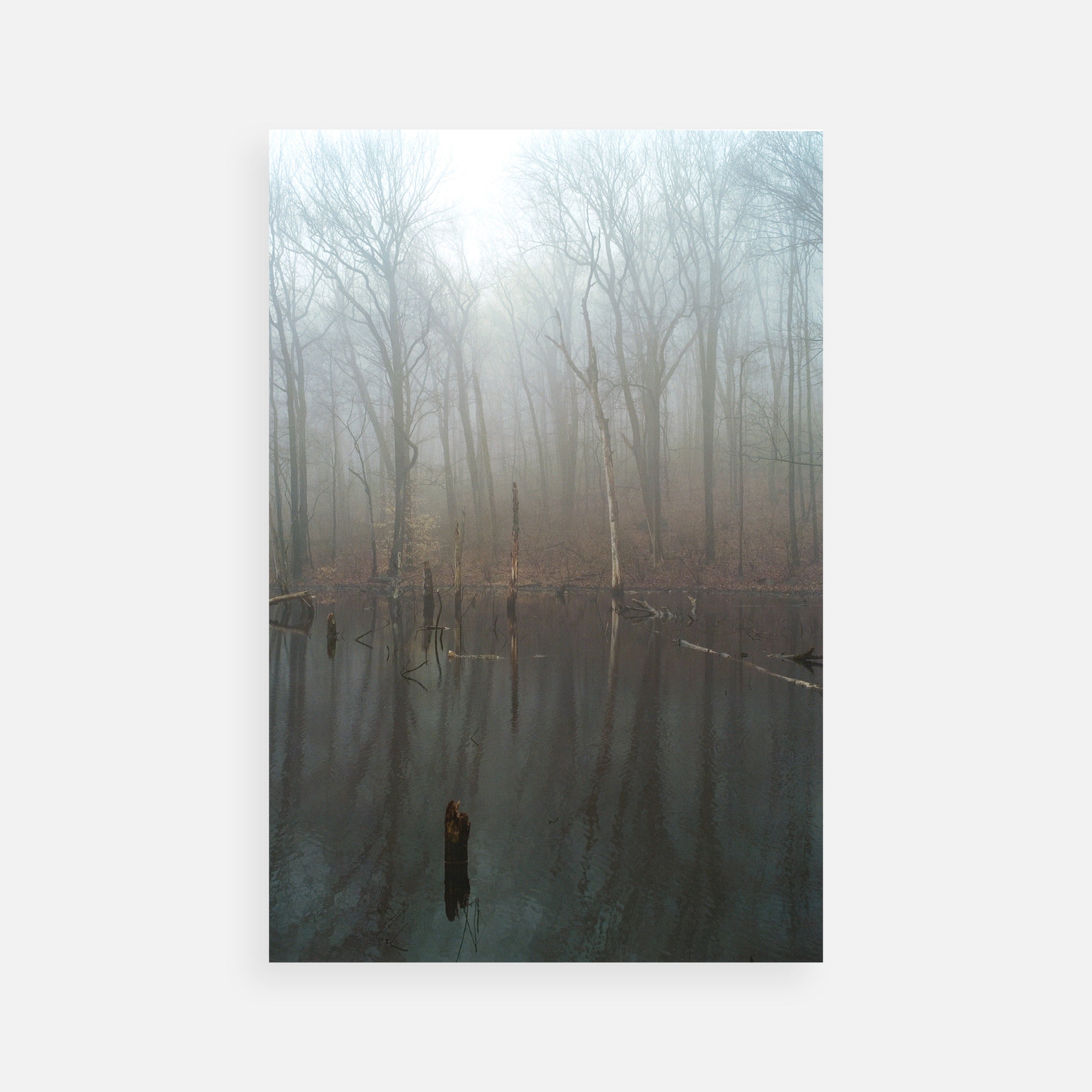 Joel Meyerowitz: The Legacy Portfolio