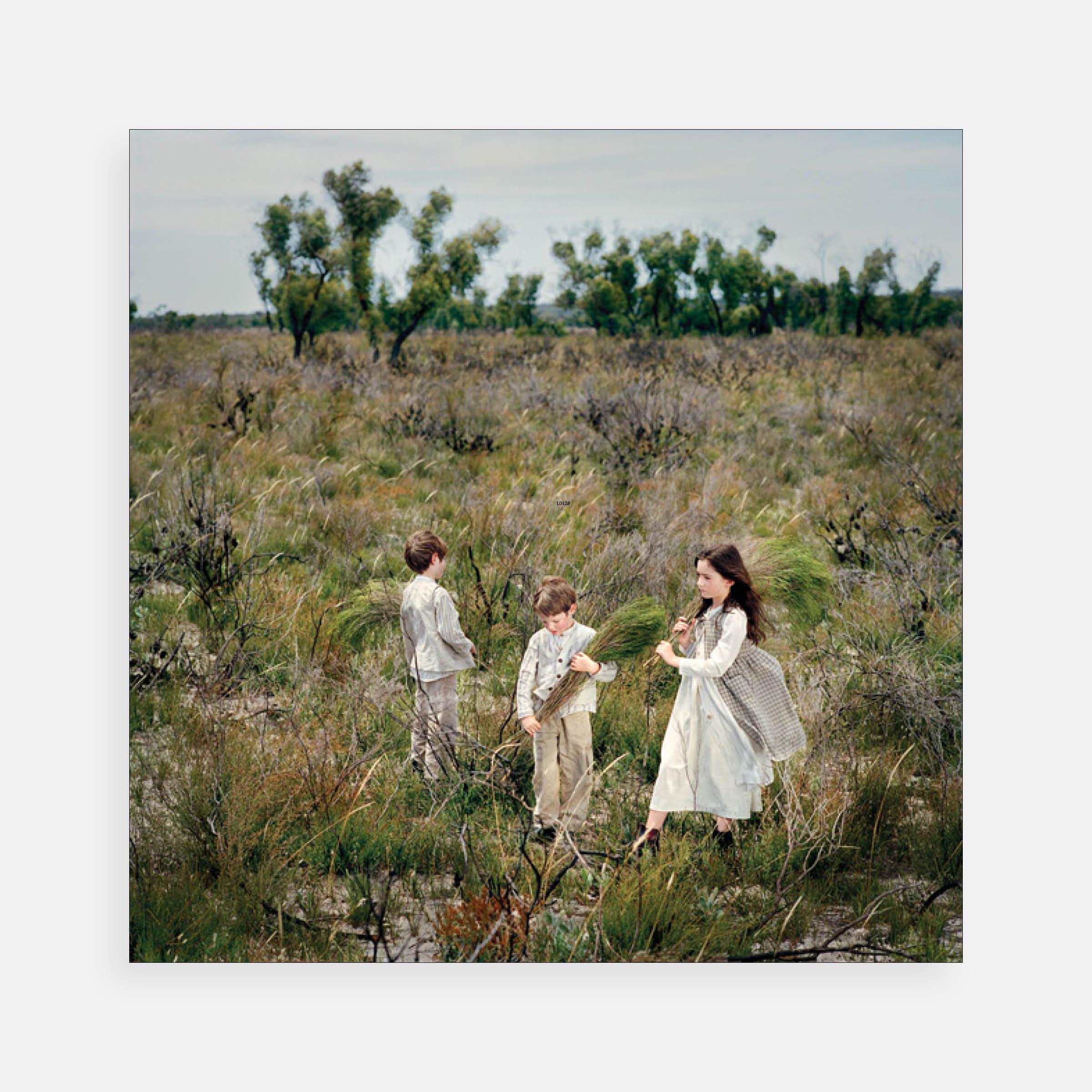 Polixeni Papapetrou: The Wimmera, 1864 #1, 2006