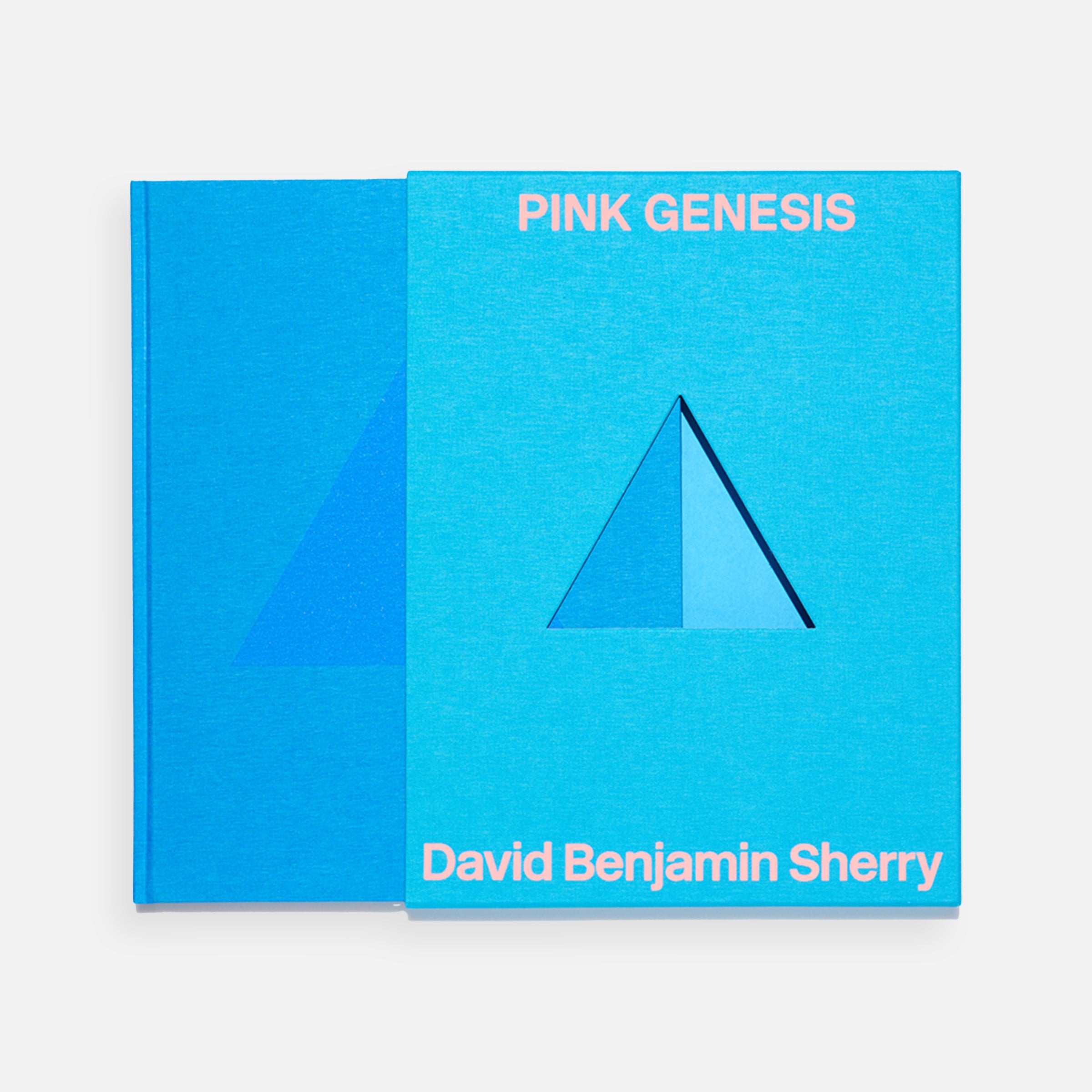 David Benjamin Sherry: Pink Genesis