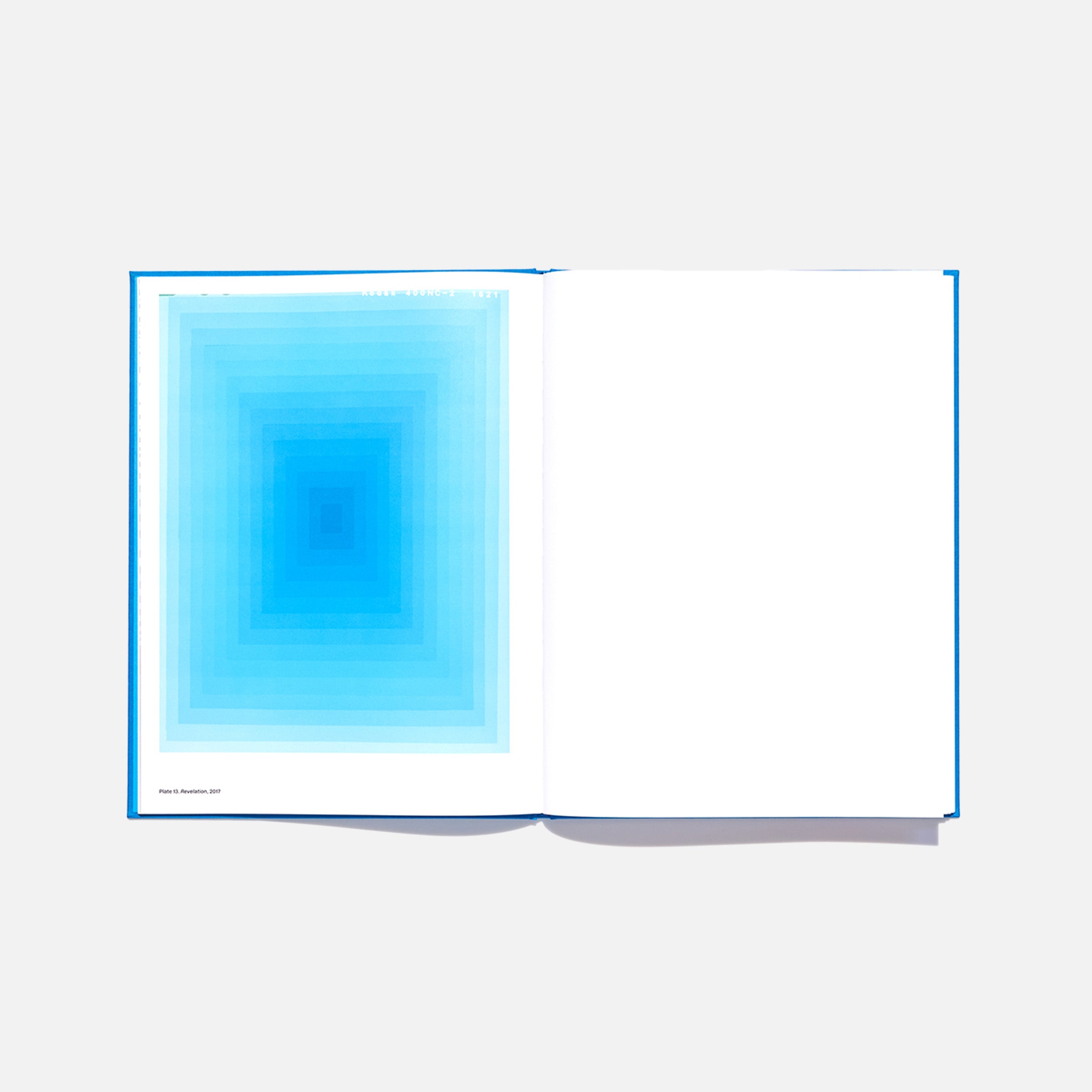 David Benjamin Sherry: Pink Genesis