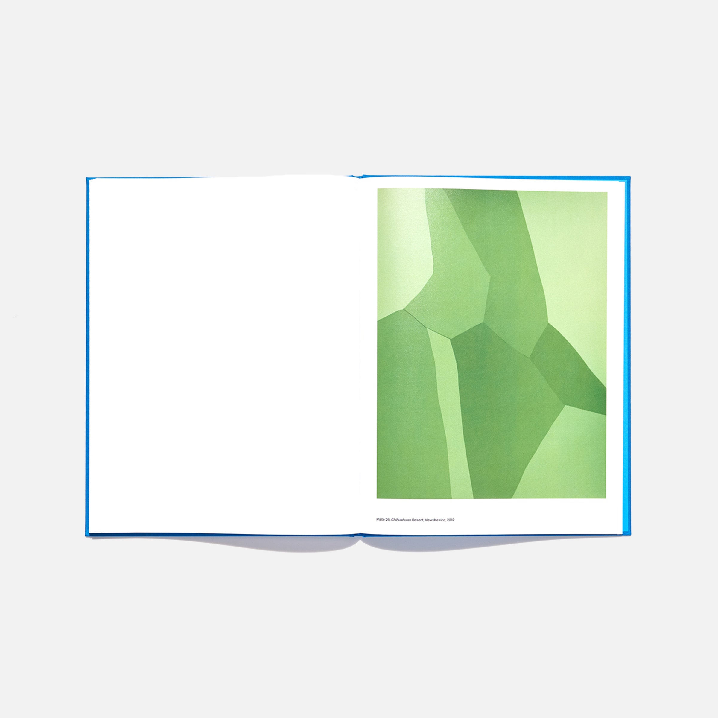 David Benjamin Sherry: Pink Genesis