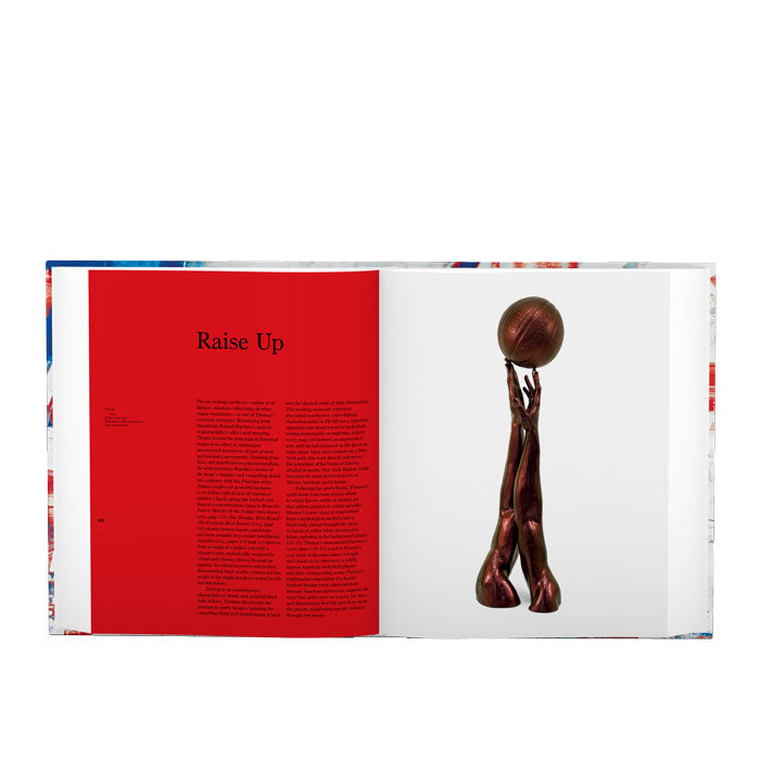 Hank Willis Thomas: All Things Being Equal (signed edition)