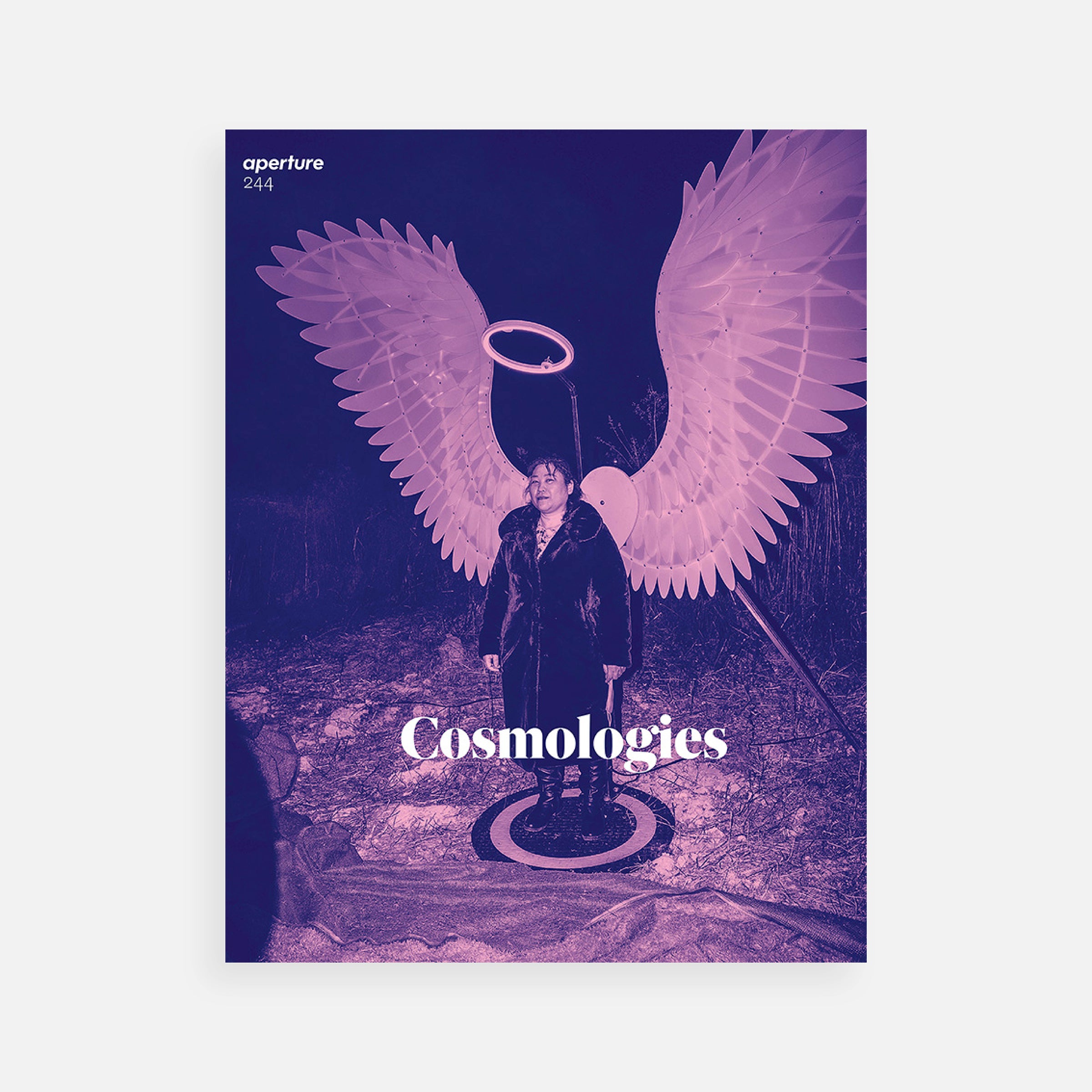 Cosmologies: Aperture 244, Fall 2021