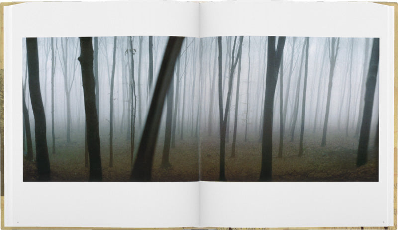 Sylvia Plachy: Self Portrait with Cows Going Home (signed edition)