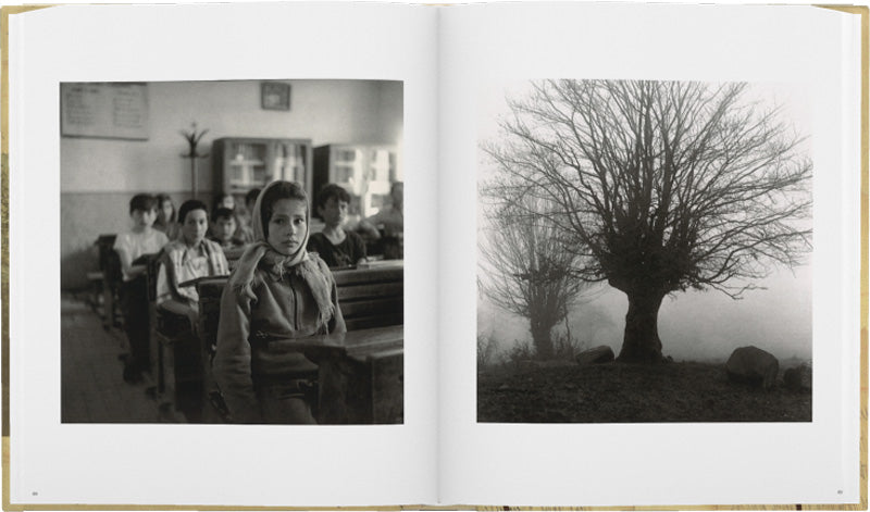 Sylvia Plachy: Self Portrait with Cows Going Home (signed edition)