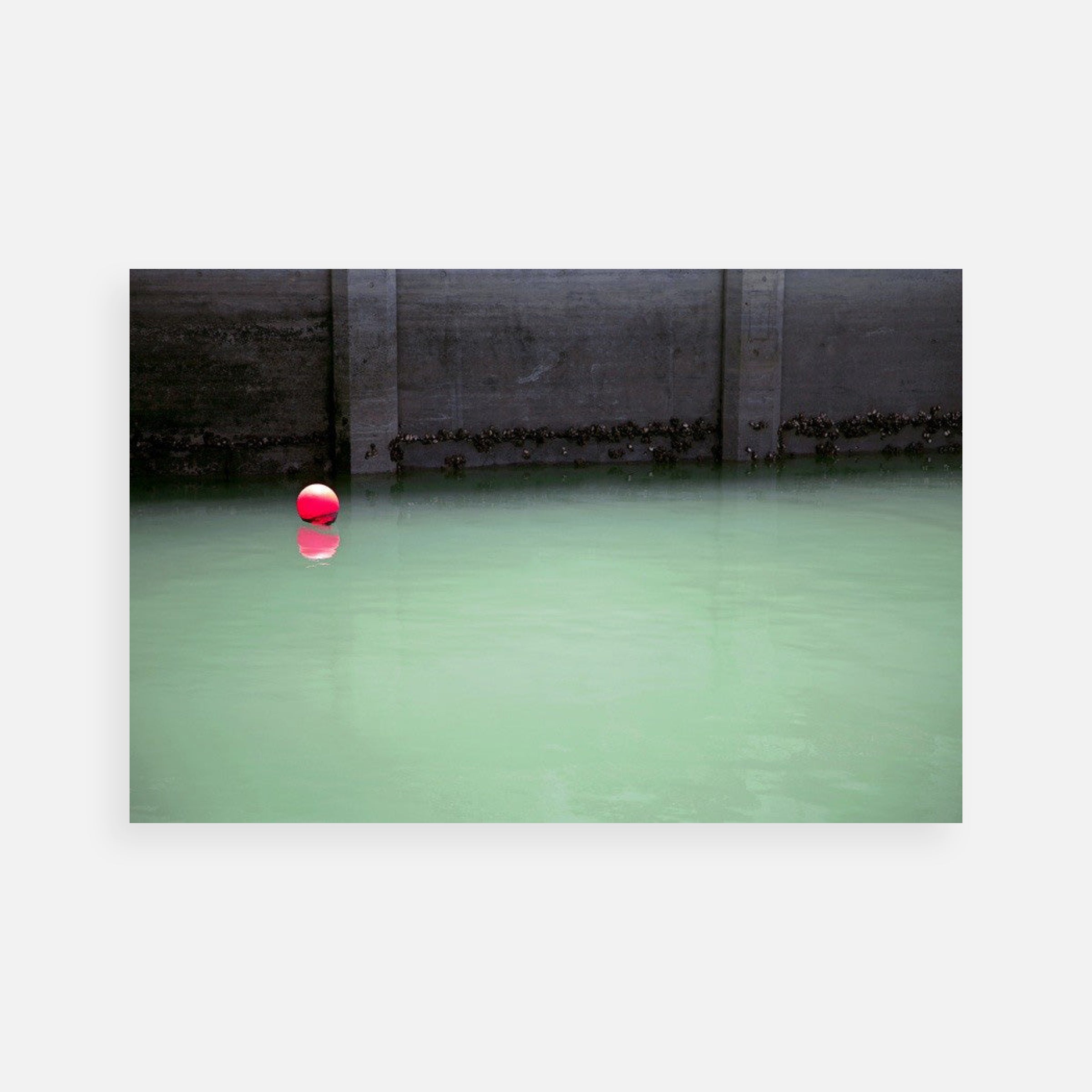 Jessica Backhaus: Harbor, 2010