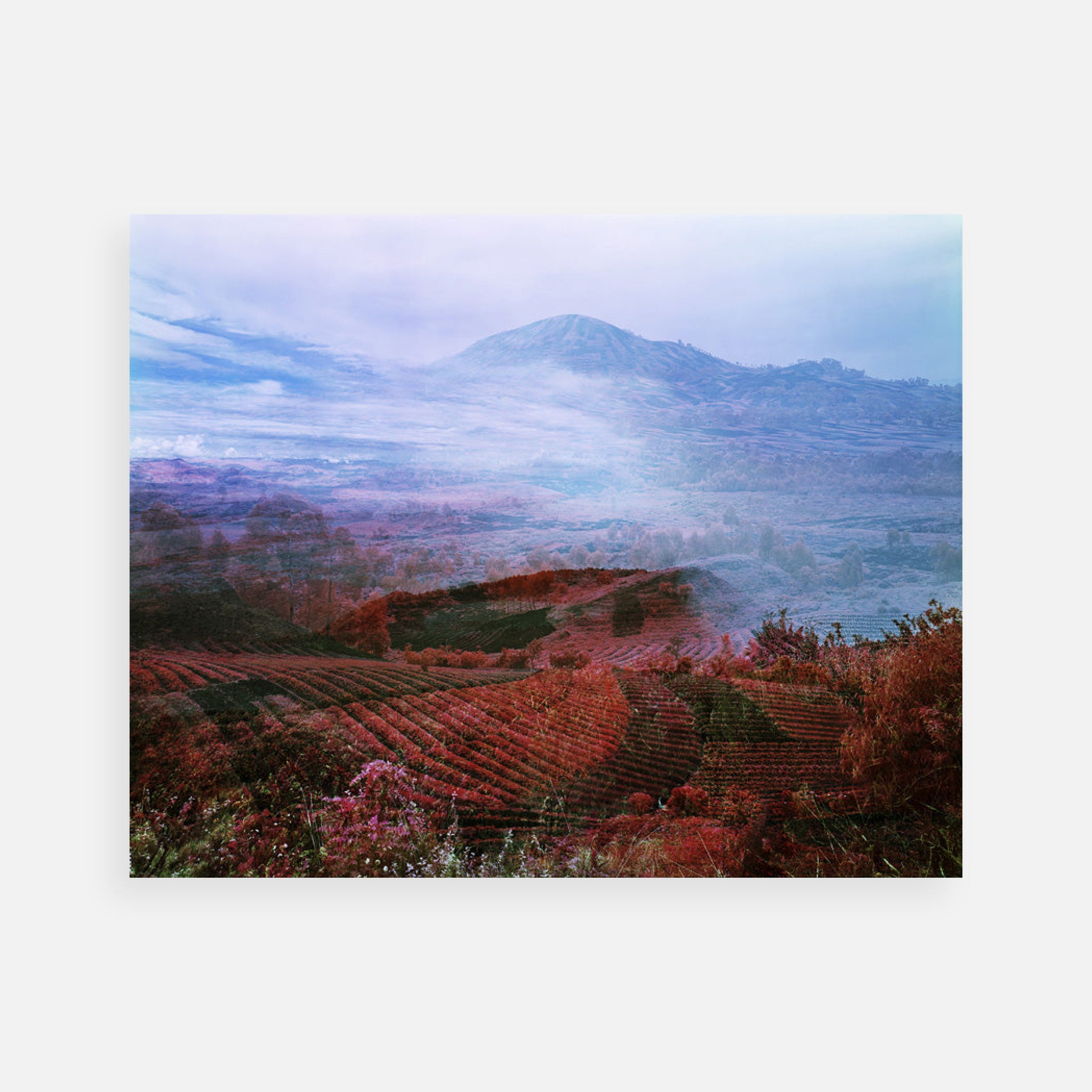 Richard Mosse: Debris, North Kivu, Eastern Congo, 2011