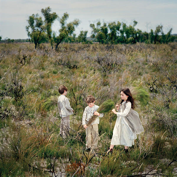 The Wimmera, 1864 #1, 2006