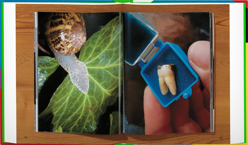 Bruno Ceschel: Self Publish, Be Happy (signed edition)